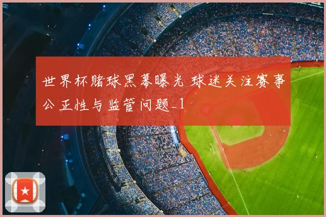 世界杯赌球黑幕曝光 球迷关注赛事公正性与监管问题_1